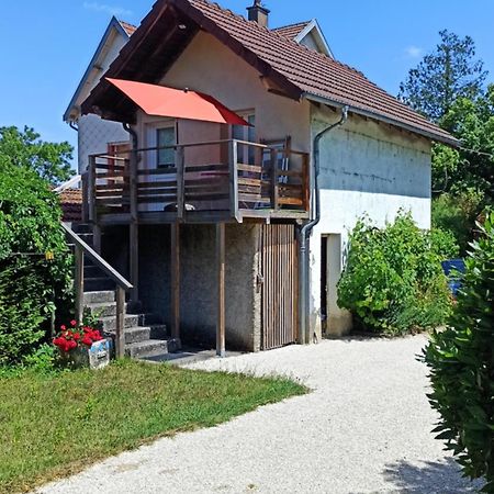 Une Tiny House A Decouvrir Au Coeur De La Cite ! Contrexéville Exteriér fotografie
